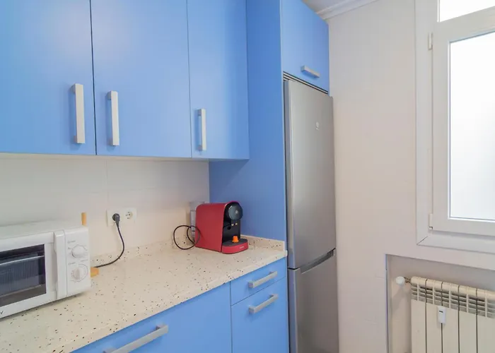 Holidea Zona Centro Ruiz De Alda * Santander